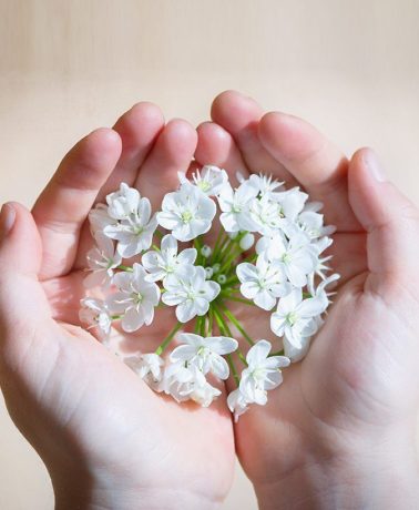 manos_flores